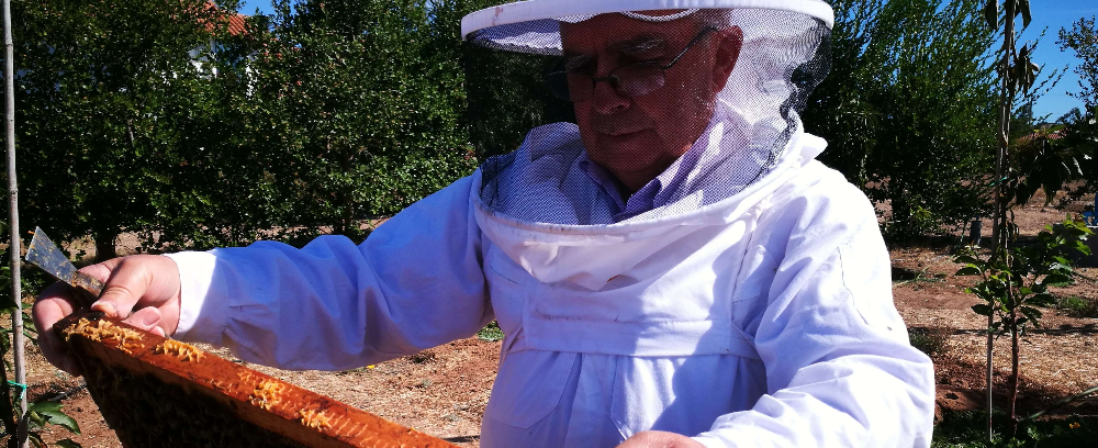 apicultor jaime soto